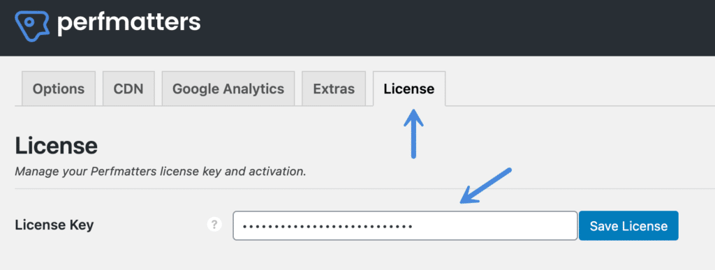 Perfmatters license key