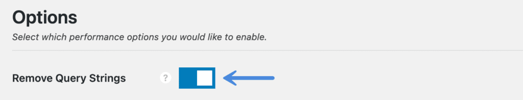 Remove query strings with Perfmatters plugin