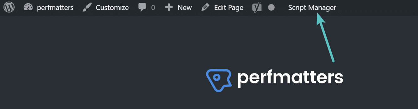 Access scripts manager