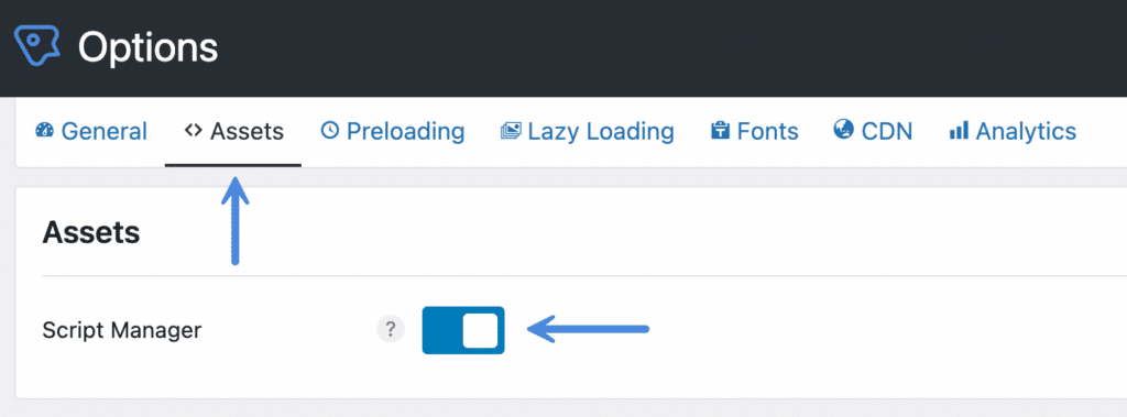 Enable the Perfmatters Script Manager