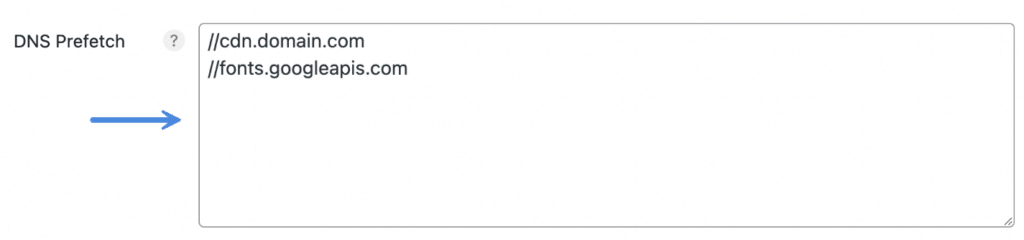 DNS prefetching in WordPress