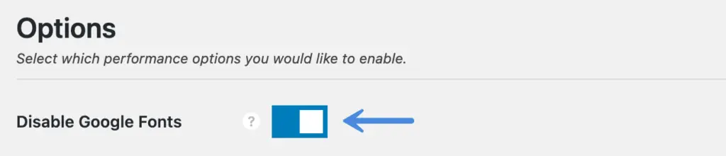 Disable Google Fonts