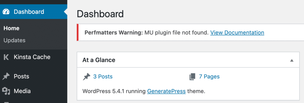 Perfmatters MU plugin file not found