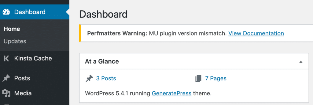 Perfmatters MU plugin version mismatch