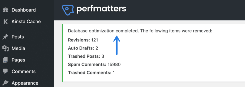 Perfmatters database optimization complete