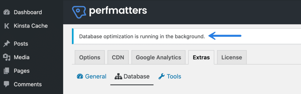 Perfmatters database optimization running
