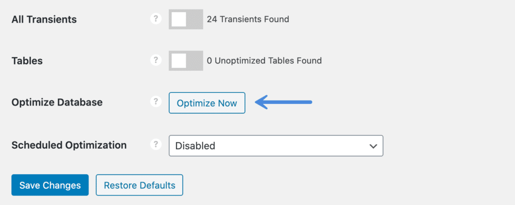 Perfmatters Optimize Now