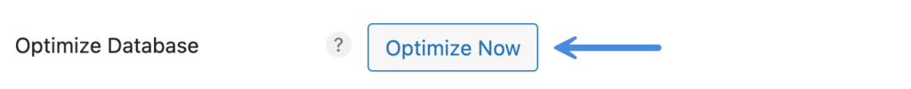 Perfmatters Optimize Now