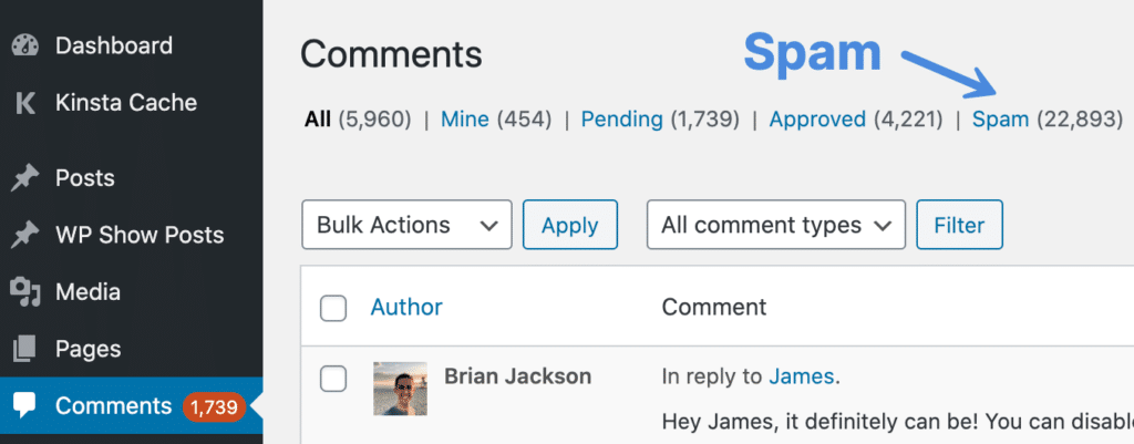 WordPress comments in spam