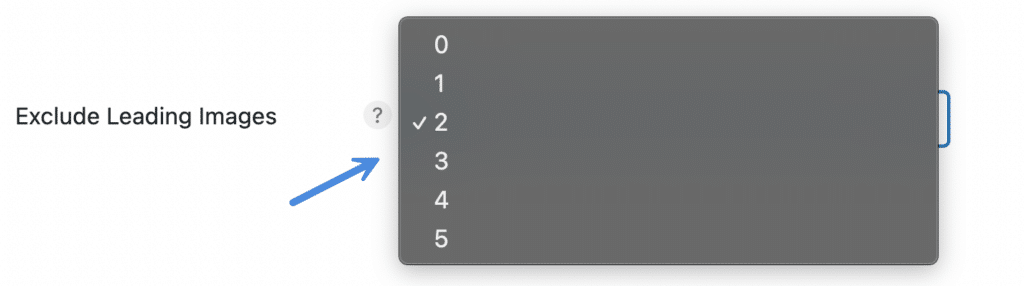 Exclude leading images