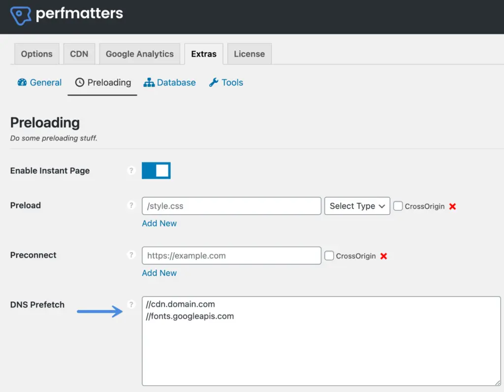 DNS prefetching in WordPress