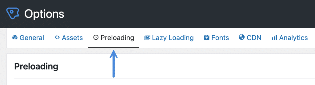 Perfmatters preloading