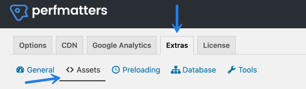 Perfmatters Assets