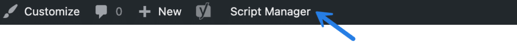 Script Manager admin bar