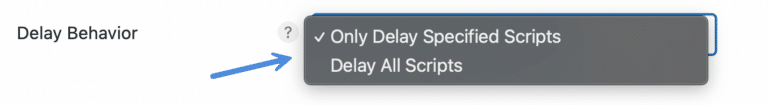 How to delay JavaScript until user interaction in WordPress (one-click)