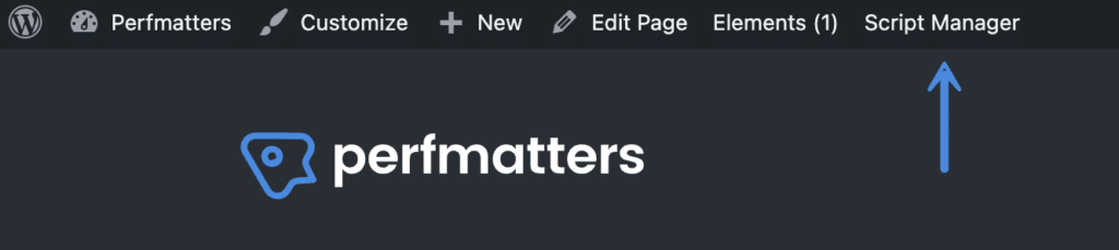 Access the Script Manager