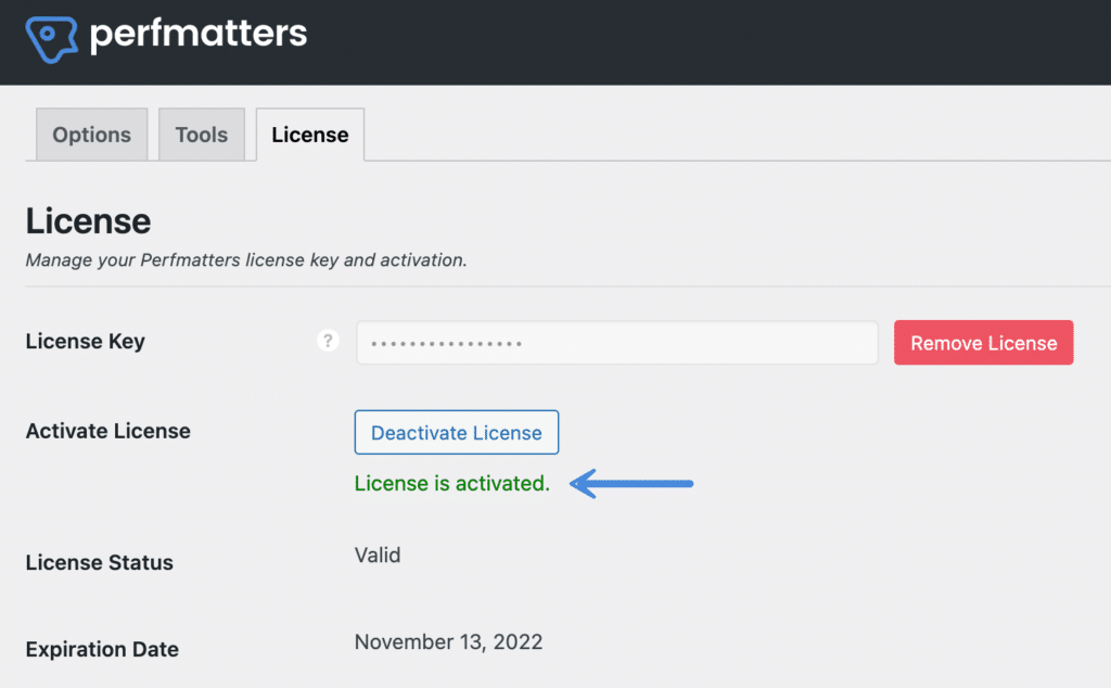 Perfmatters license is activated