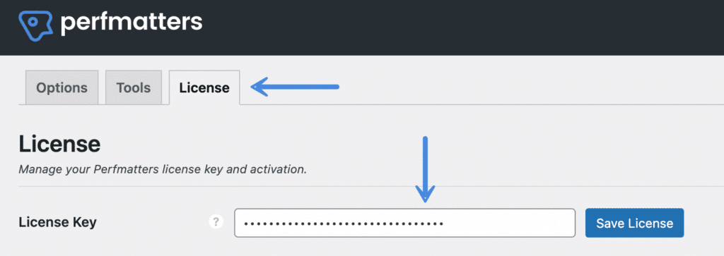 Perfmatters license key