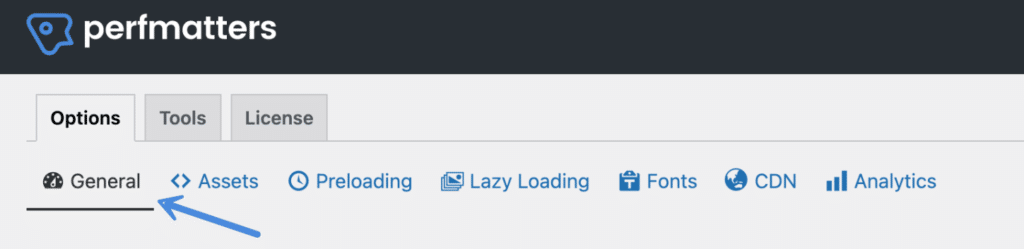 Perfmatters general sub-navigation menu