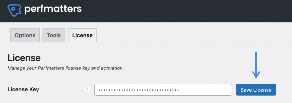 Save license in Perfmatters
