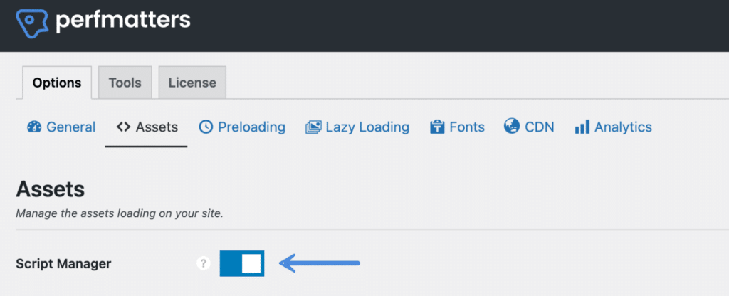 Enable the Perfmatters Script Manager