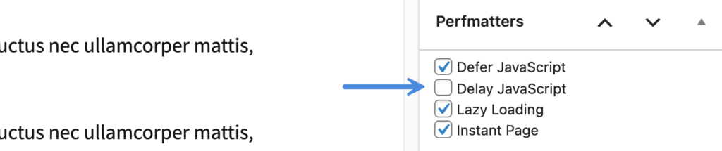 JS delay exclusion on individual page