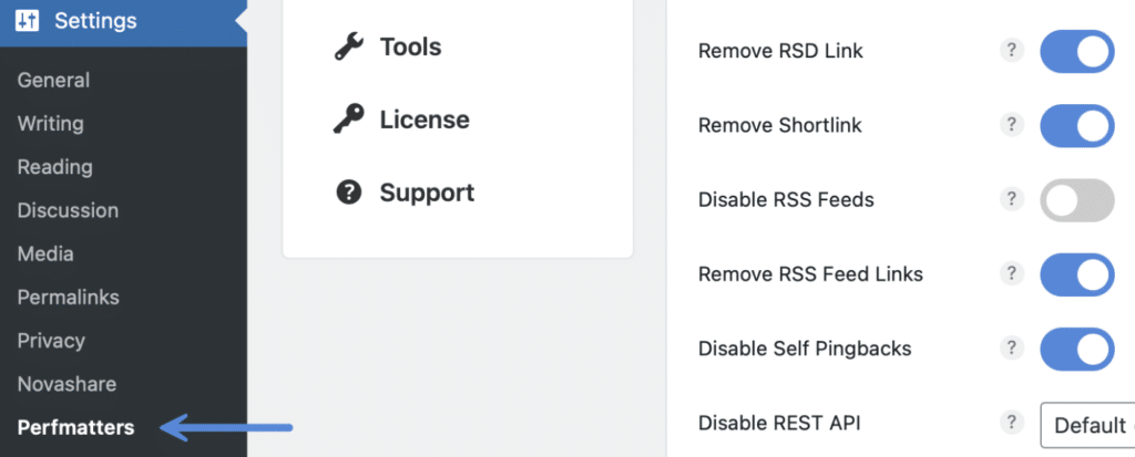 Perfmatters plugin settings