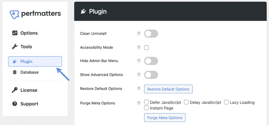 Perfmatters plugin submenu