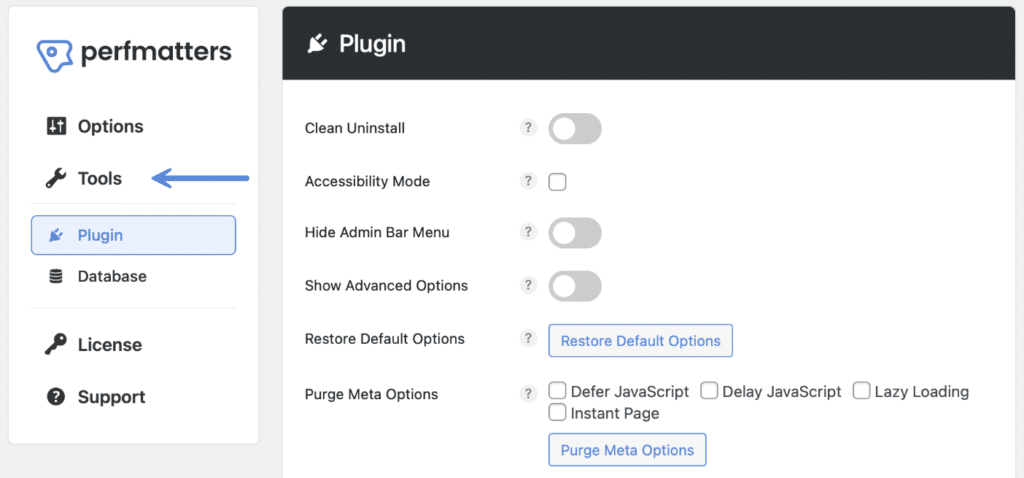 Perfmatters tools submenu