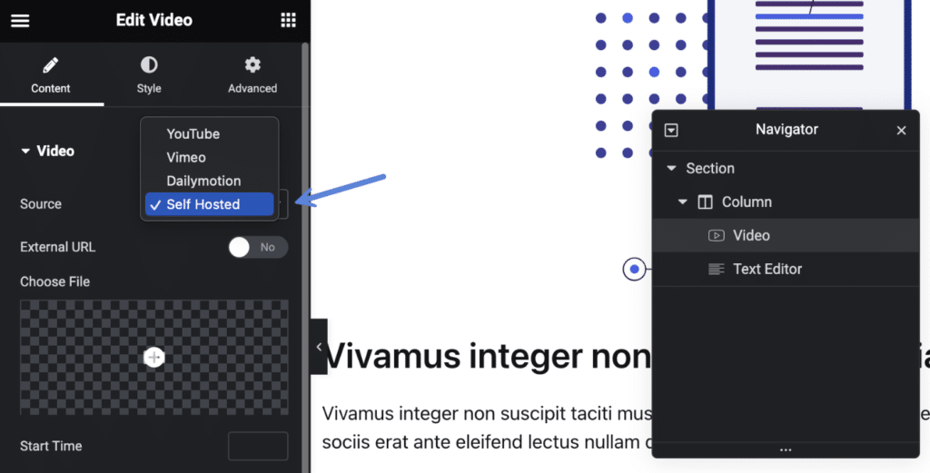 Self hosted video in Elementor