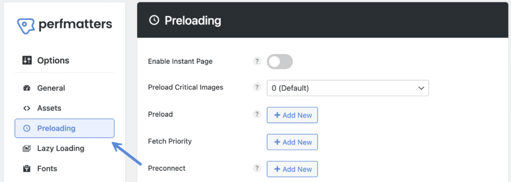 Perfmatters preloading