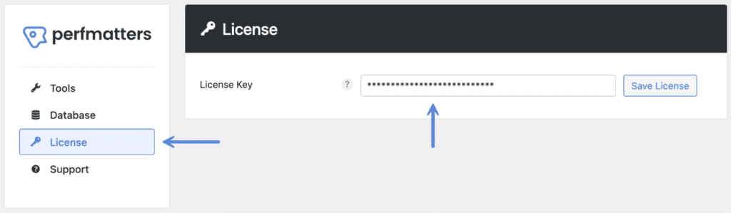 Perfmatters license key