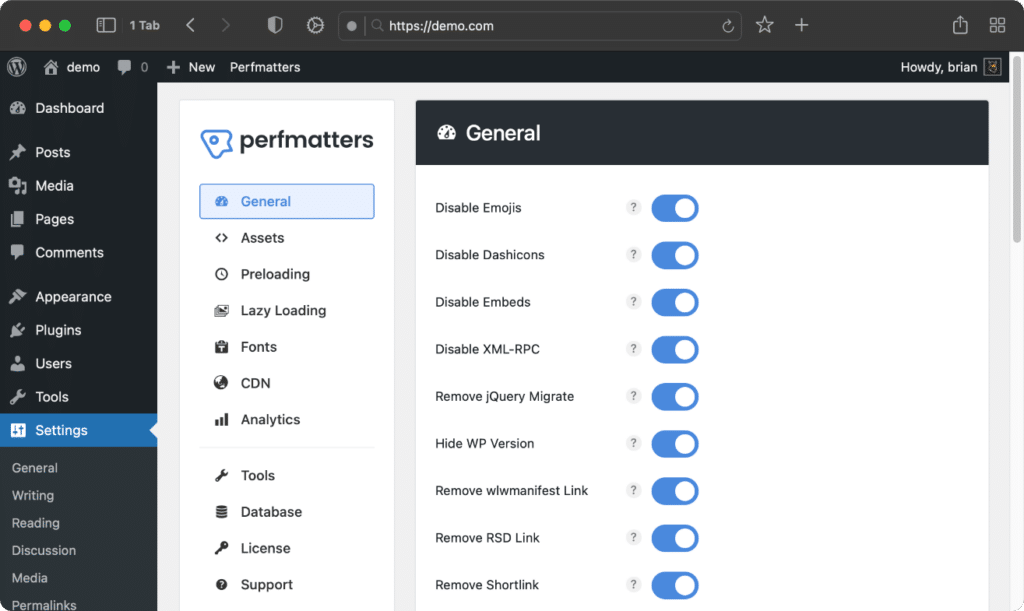 Perfmatters WordPress plugin